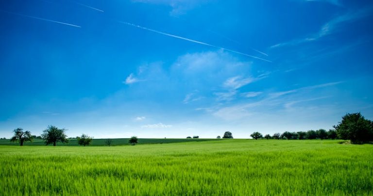 Đất nền dự án KĐT mới Hải Phòng, pháp lý đầy đủ